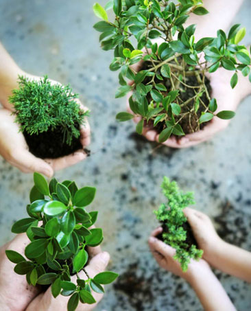 CSR-Environmental2